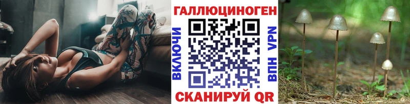 Псилоцибиновые грибы прущие грибы  Купить  Таруса 